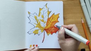 Рисуем кленовый лист маркерами! Рисую МАРКЕРАМИ MAZARI  ! Что могут бюджетные маркеры?