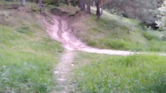 Жуковка песчанка