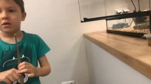 Супер ящерица геккон эублефар