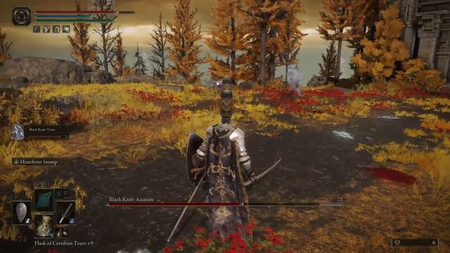 Black knife tiche vs black knife assassin elden ring смотреть онлайн
