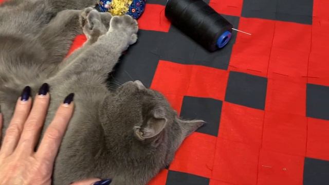 УРА! Я ЭТО СДЕЛАЛА! ОДЕЯЛО И БЛОГЕР ГОДА смотреть онлайн