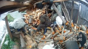 Работа моего дровокола. двигатель-12v стартер на 3 квт