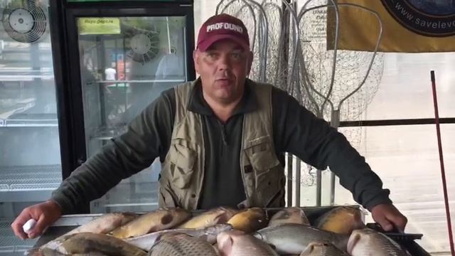Как и на что лучше ловить рыбу. смотреть онлайн