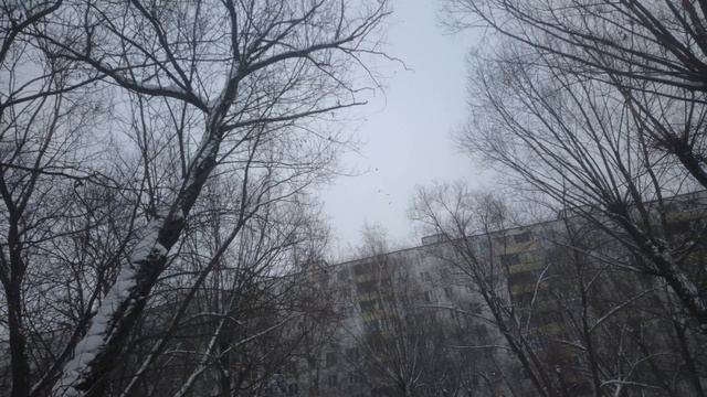 ВорОны кружат,ждут еды смотреть онлайн