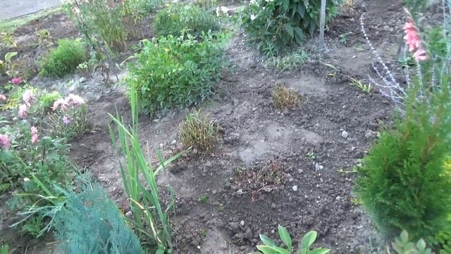 Новые клумбы !!!