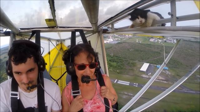 Remove cat before flight смотреть онлайн