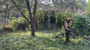 Кошу джунгли в центре Бронниц. Штиль (Stihl) - огонь!