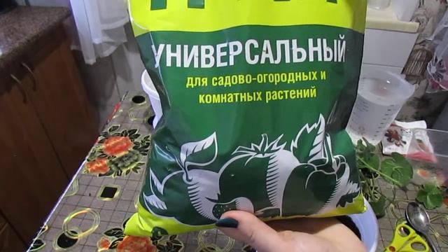 ПЕЛАРГОНИЯ/ГЕРАНЬ!!! Черенкование, посадка, уход. смотреть онлайн