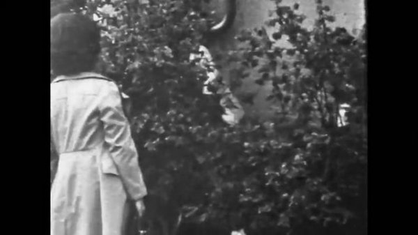 Луцк Киверцы 1976 ШАШЛЫКИ