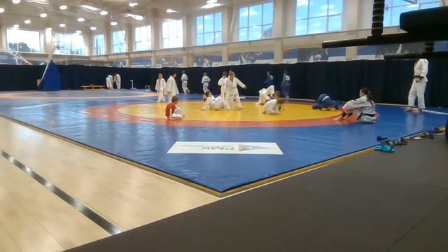 Тренировка младшей группы дзюдо 20.09.2022 (18:30) смотреть онлайн