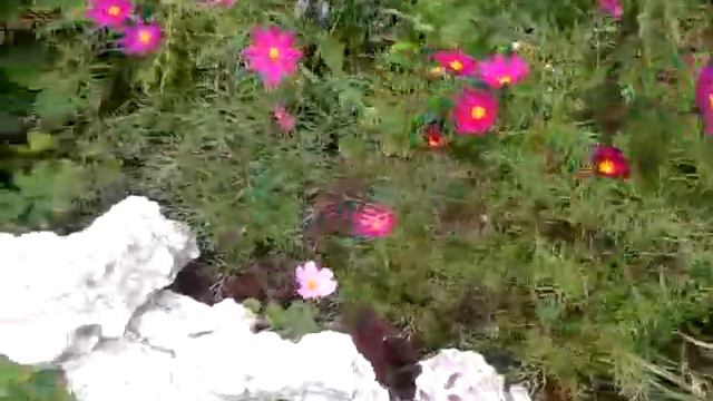 Мой цветник смотреть онлайн