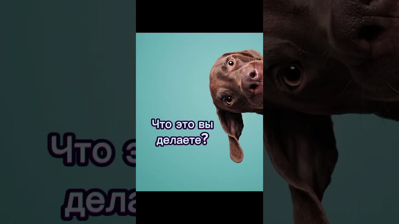 создаём рабочую атмосферу #квартирыспб #уют