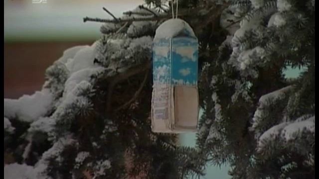 Из-за непогоды в Челябинских школах отменили занятия первой смены смотреть онлайн