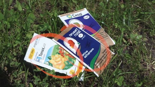 Важно! Чем болеют розы ? Мучнистая роса и чёрная пятнистость ✔️ Как избавиться от болезни Ржавчина смотреть онлайн