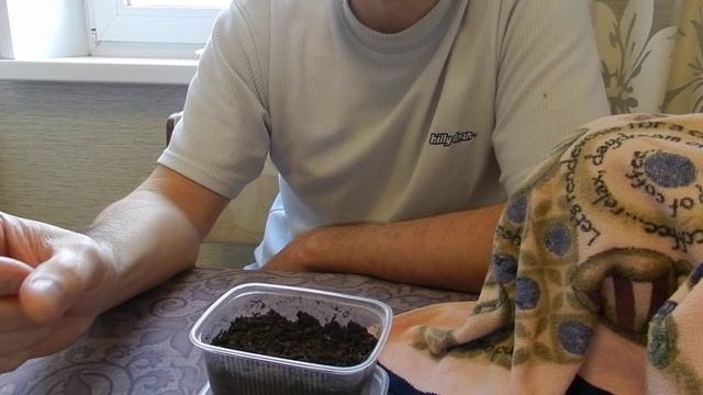 Луковая шелуха для рассады смотреть онлайн