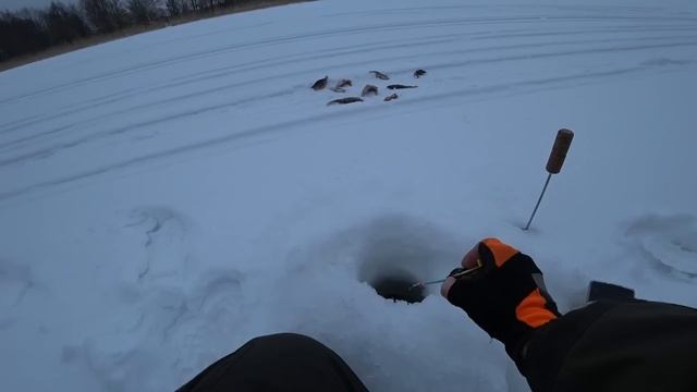 ЗА 30 МИНУТ НАЛОВИЛ В ГЛУХОЗИМЬЕ. Зимняя Рыбалка 2024 смотреть онлайн