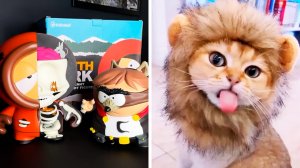 Популярное из Тик Ток (94 часть)