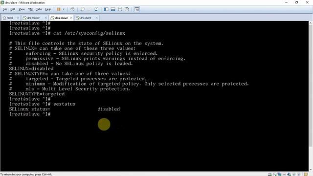 Verify Slave DNS System | DNS Server Lab Setup | Mastering BIND DNS Server смотреть онлайн