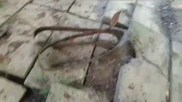 КОП МЕТАЛЛА ОТ КАМРАДА ЧАСТЬ 3 ЛЕТО 2021 смотреть онлайн