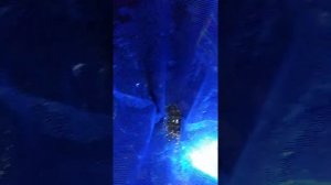 Феодосия 2021, ловля краба