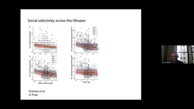 James Higham- Insights Into Life History from the Cayo Santiago Rhesus Macaques смотреть онлайн