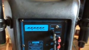 Портативная колонка .Комбоусилитель. Temeisheng HL 12 A100