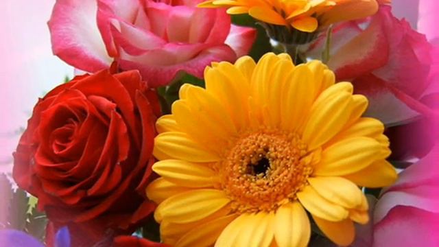 C днем рождения, Люба!.wmv смотреть онлайн
