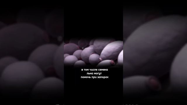 Польза и Вред Семян Льна для Организма. смотреть онлайн