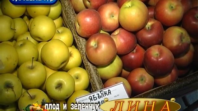Плод и зеленчук "ЛИНА" KOTELNEWS.com смотреть онлайн