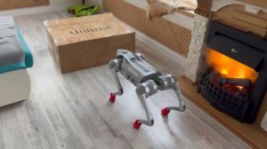 Робособака бьет по коробке