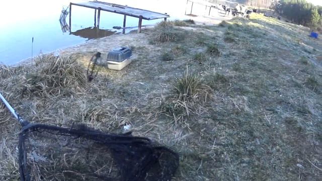 Дарковичи смотреть онлайн