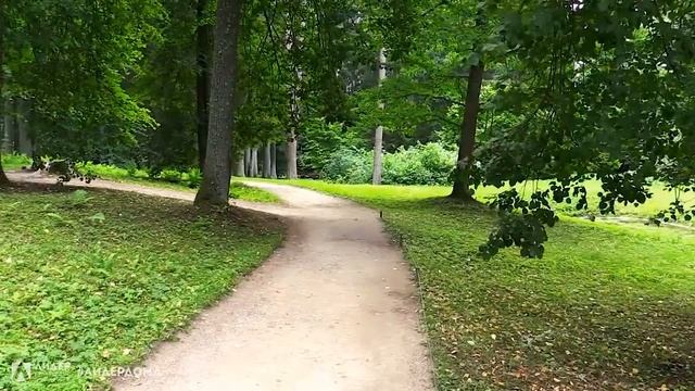 #ЛидерДома: Виртуальная экскурсия "Пушкинские места России" смотреть онлайн