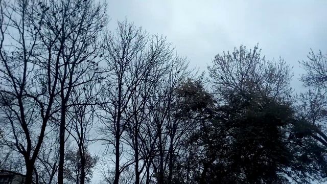 вороны КАРкают смотреть онлайн
