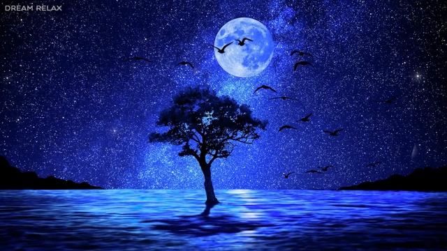 Música Para Calmar La Mente Y Dejar De Pensar - Música Relajarse Para Reducir La Ansiedad Y Dormir