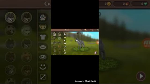 Волк вышел на охоту за теми кто не подписался!!! смотреть онлайн