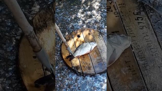 Чистим рыбу кёрхером ( kerher) смотреть онлайн