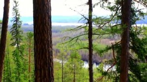 Весенняя поездка в Алданский район . май 2018.