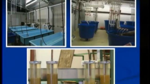 TFWC Committee Meeting 102914.5