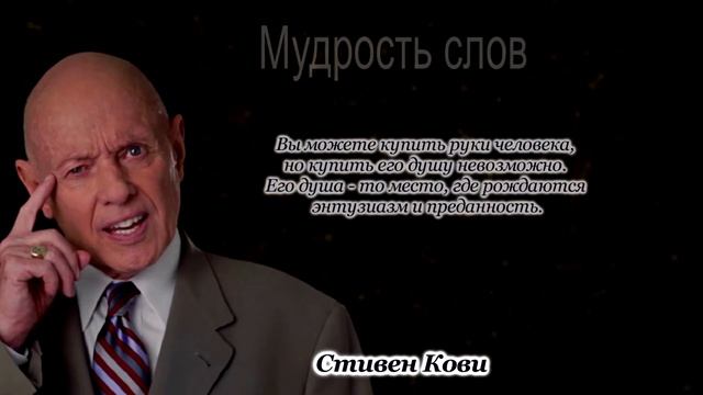 Стивен Кови. Цитаты мотивация | Мудрость слов, высказывания афоризмы смотреть онлайн