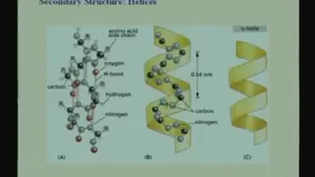 Lecture - 4 Protein structure II смотреть онлайн