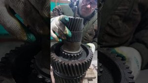 сборка КПП ZF 16 задний шестерня