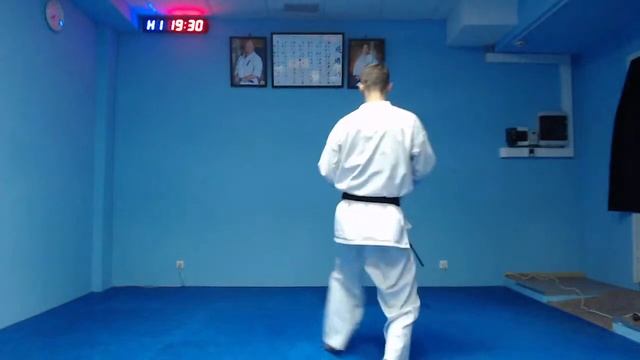 Карате Киокушинкай онлайн-тренировка. 10-9 кю смотреть онлайн