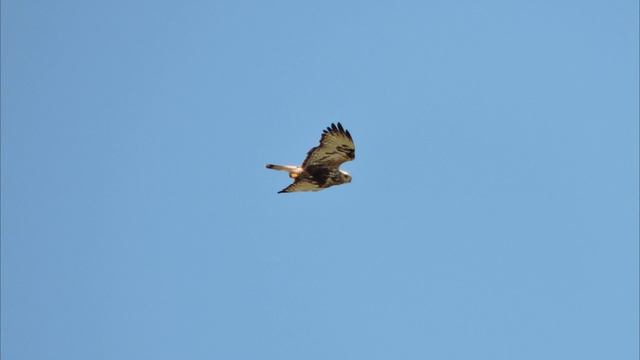 Внешнее Беломорье-2015 смотреть онлайн