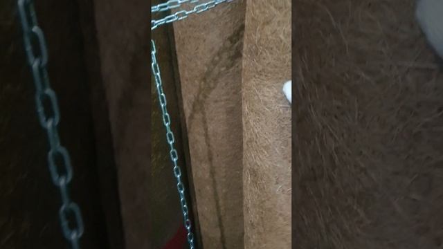 Кокос в изоляторе смотреть онлайн