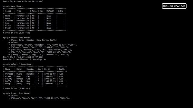 Membuat Data Base menggunakan my SQL SERVER part 4.1 Hewan смотреть онлайн