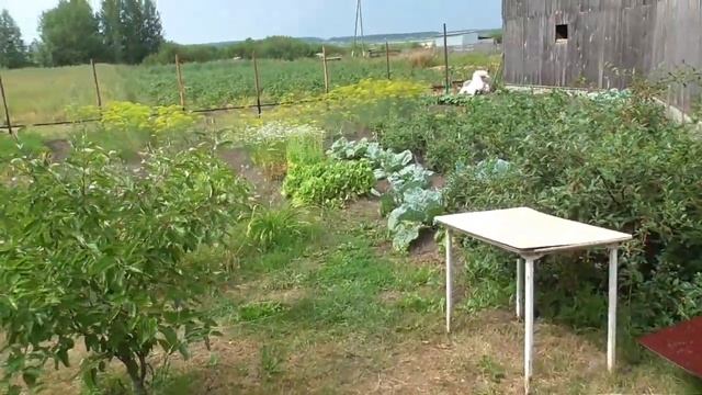 Цоколь забора из шифера - оригинальный фундамент к забору. смотреть онлайн
