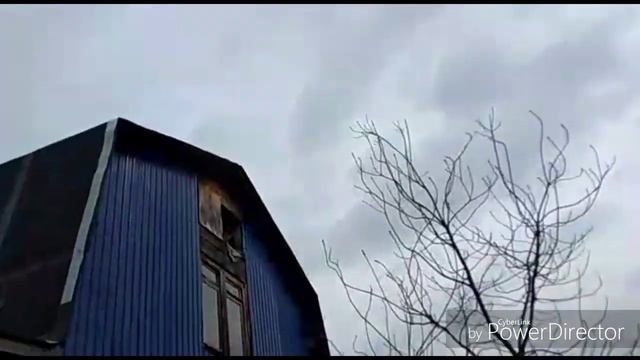 УТКА БЕСТОЛКОВАЯ / БУДУ ВЫВОДИТЬ ЯЙЦОМ В ИНКУБАТОРЕ. смотреть онлайн