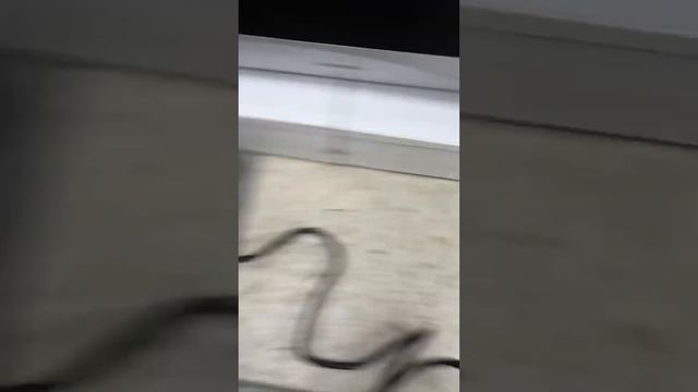 Фен интерскол смотреть онлайн