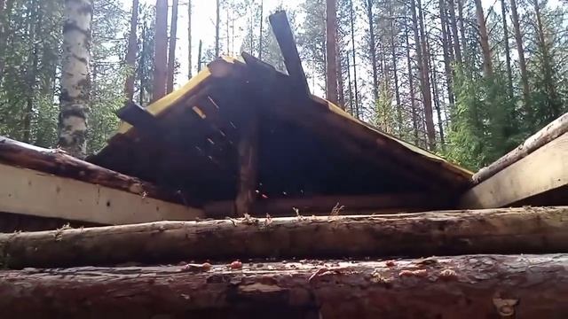 Вот БЕДА. Прикрыли лавочку. Старою ИЗБУШКУ теперь без любимой свалки! Таёжный быт. смотреть онлайн