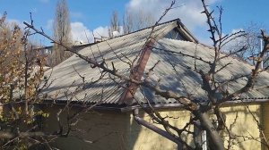 Структурная обрезка алычи на клик с элементами ниваки.